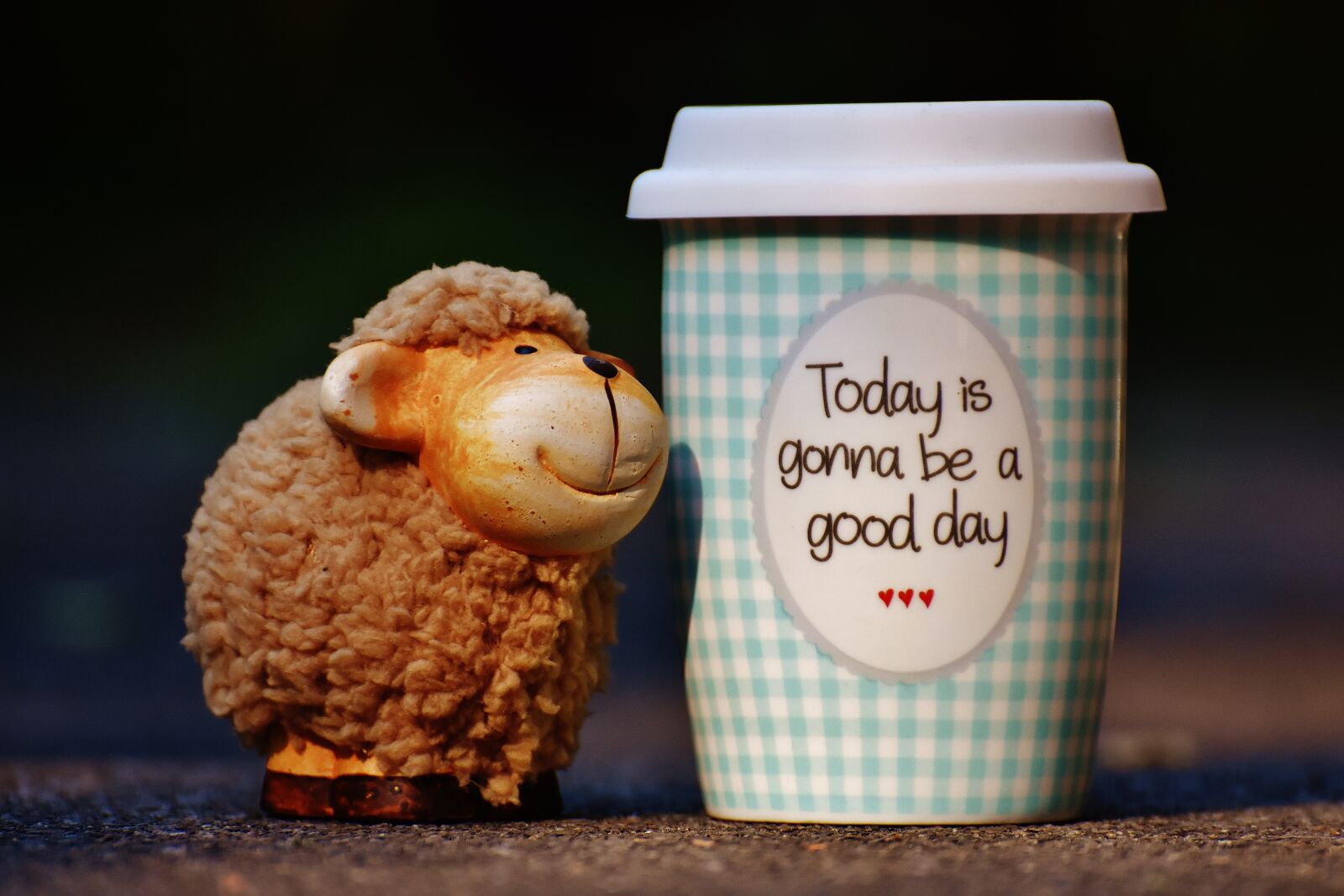 Nikon D7200 sample photo. Sheep, beautiful day, to photography