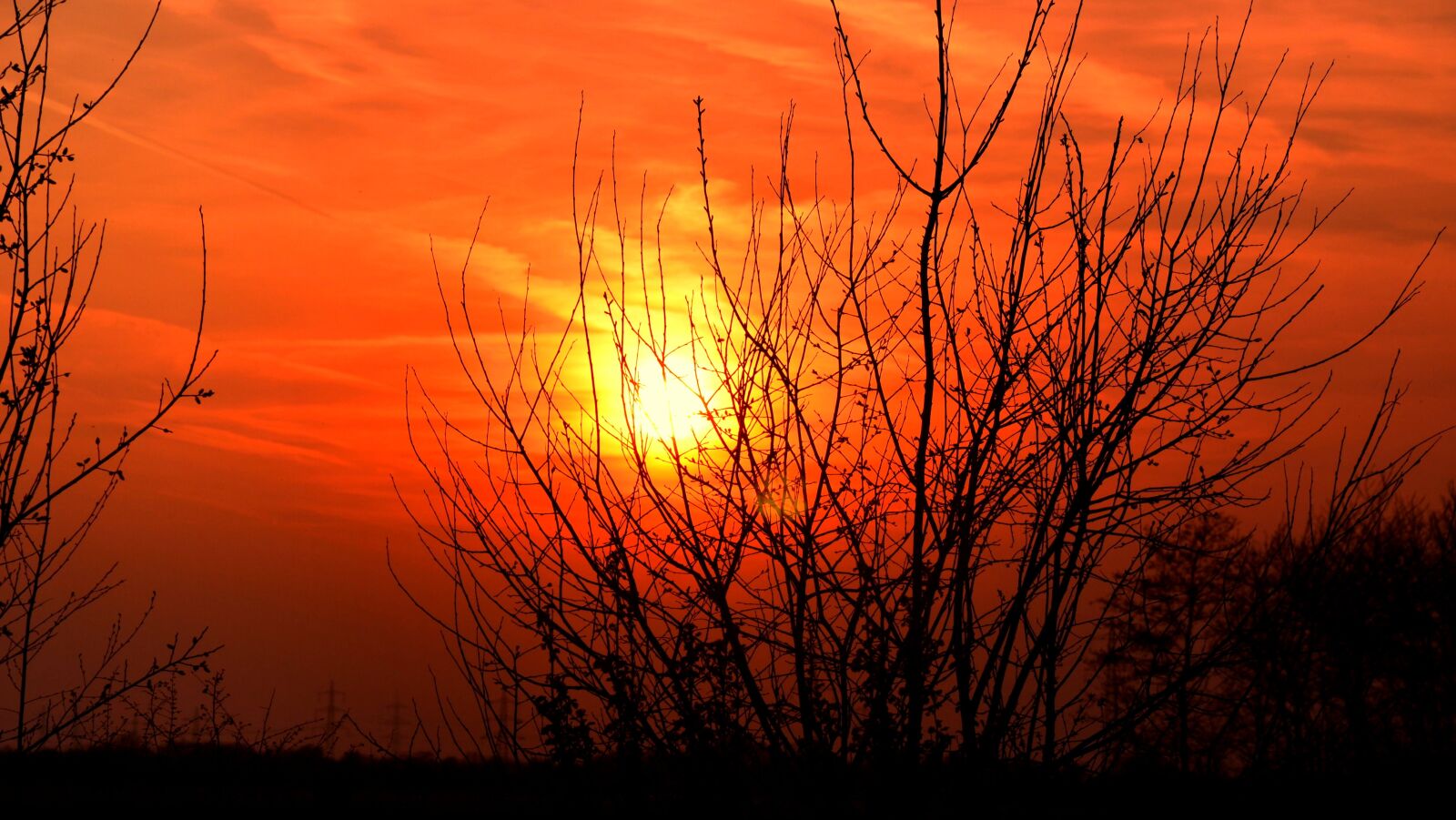 Nikon D5100 sample photo. Sun, evening, sunset photography
