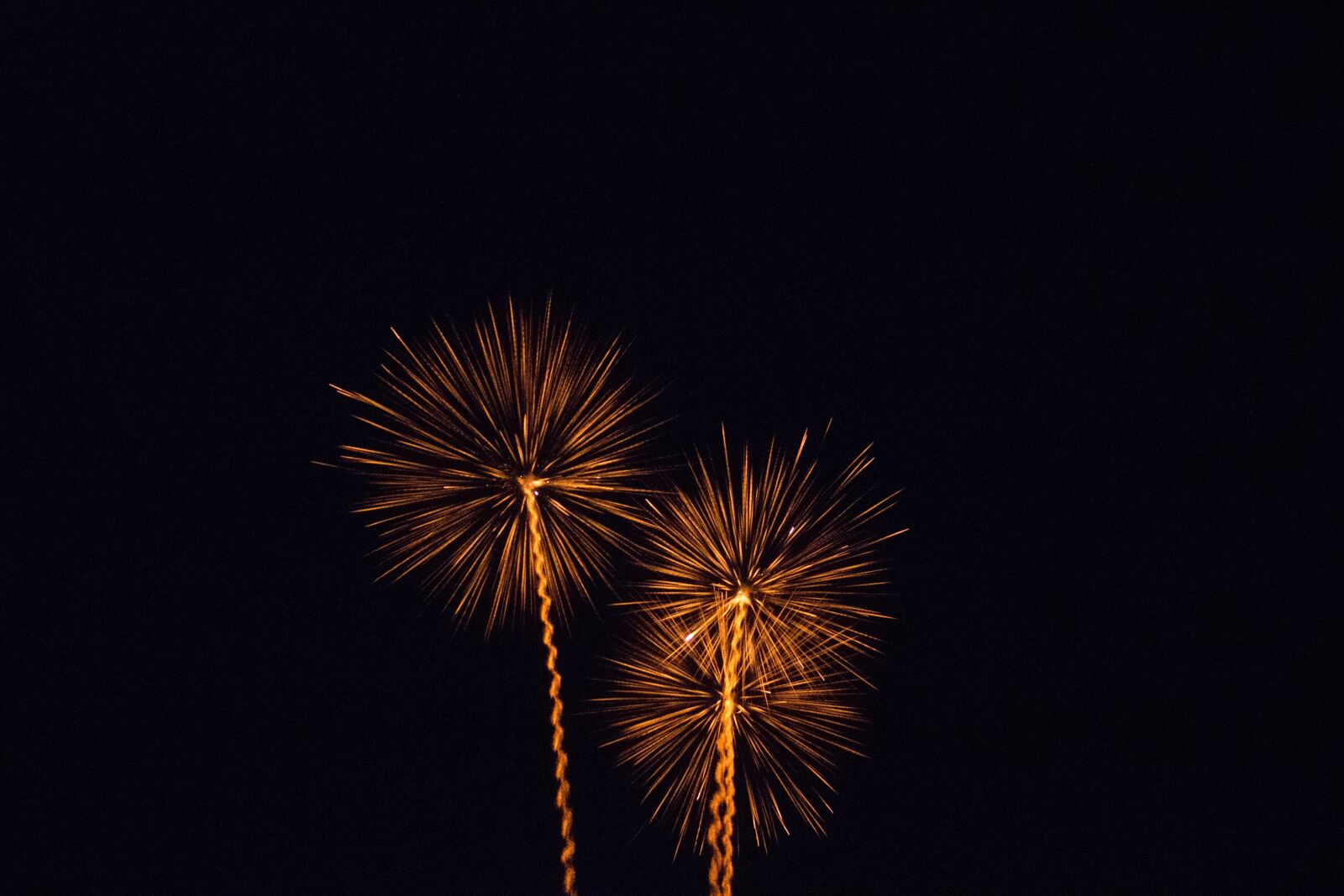 Canon EOS 100D (EOS Rebel SL1 / EOS Kiss X7) sample photo. Fireworks, dark, night photography