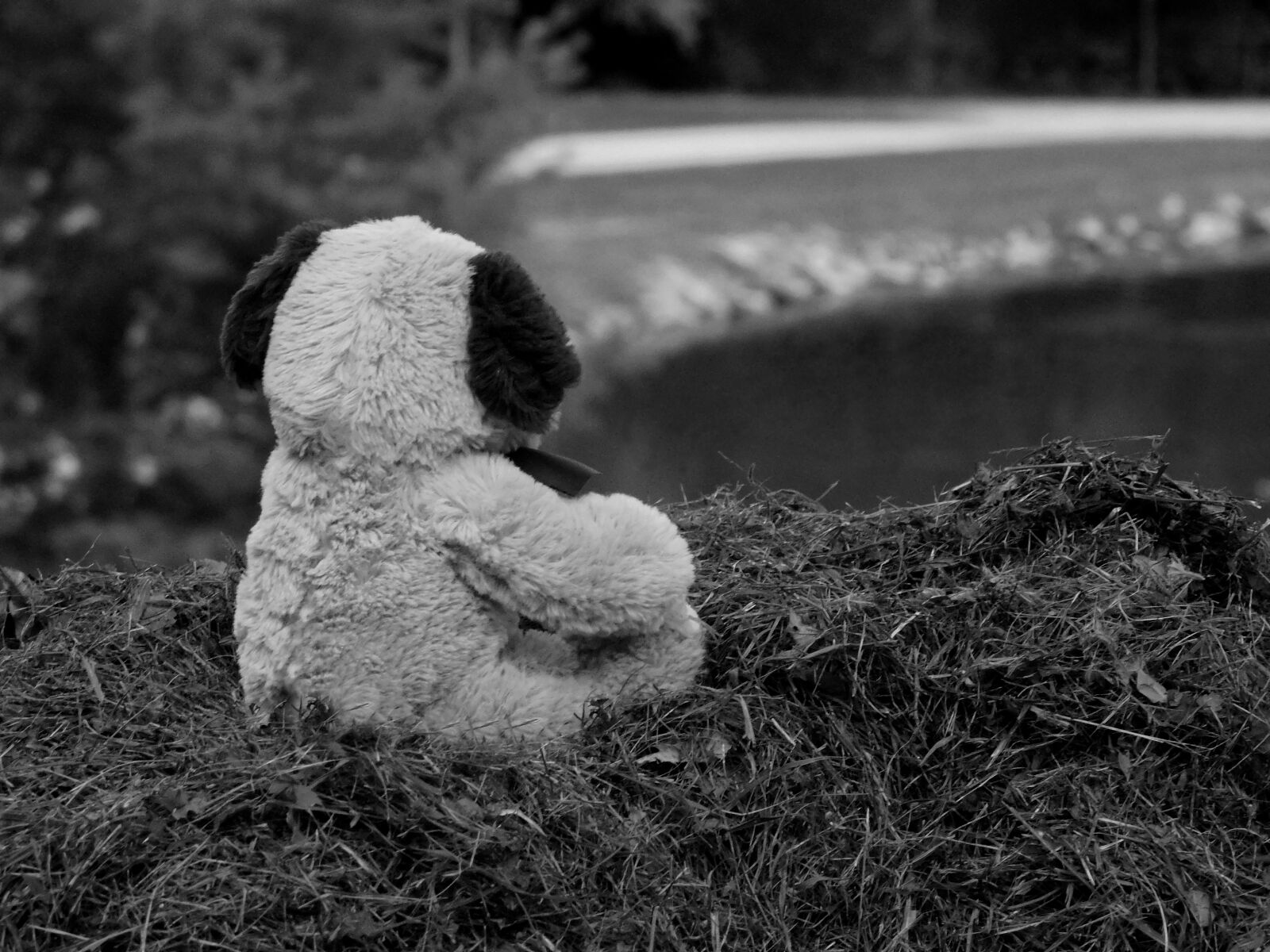 Nikon Coolpix L840 sample photo. Mascot, stuffed bear, teddy photography