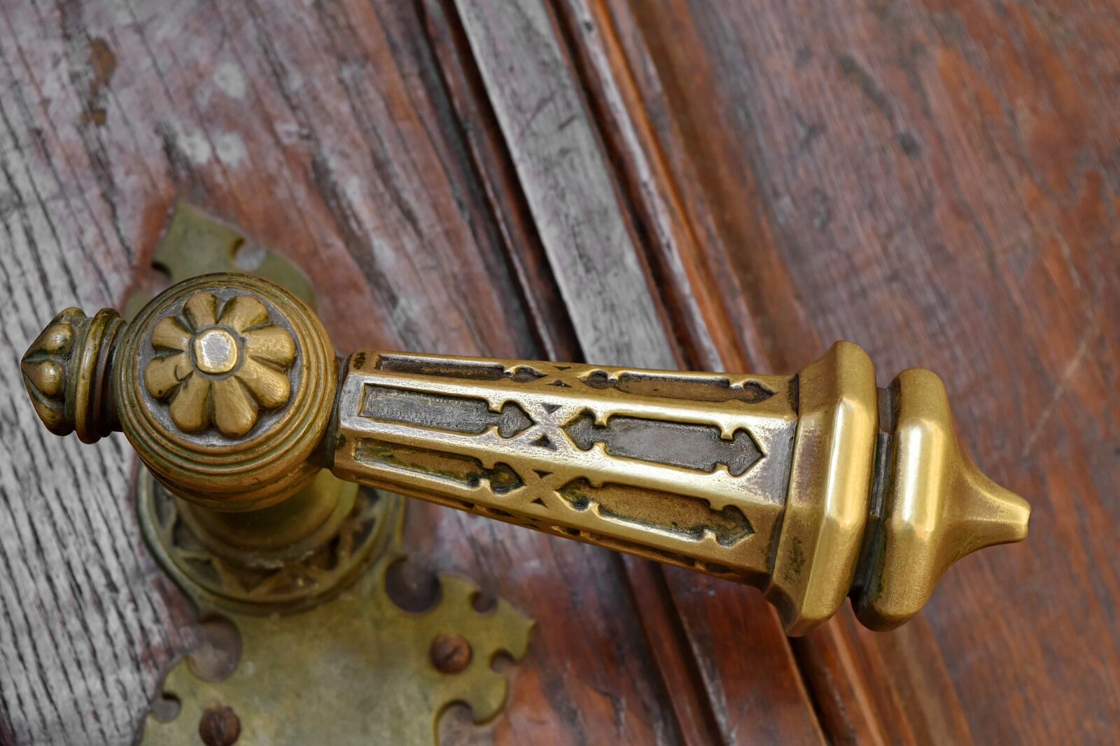 Nikon D5500 sample photo. Entrance, front door, brass photography