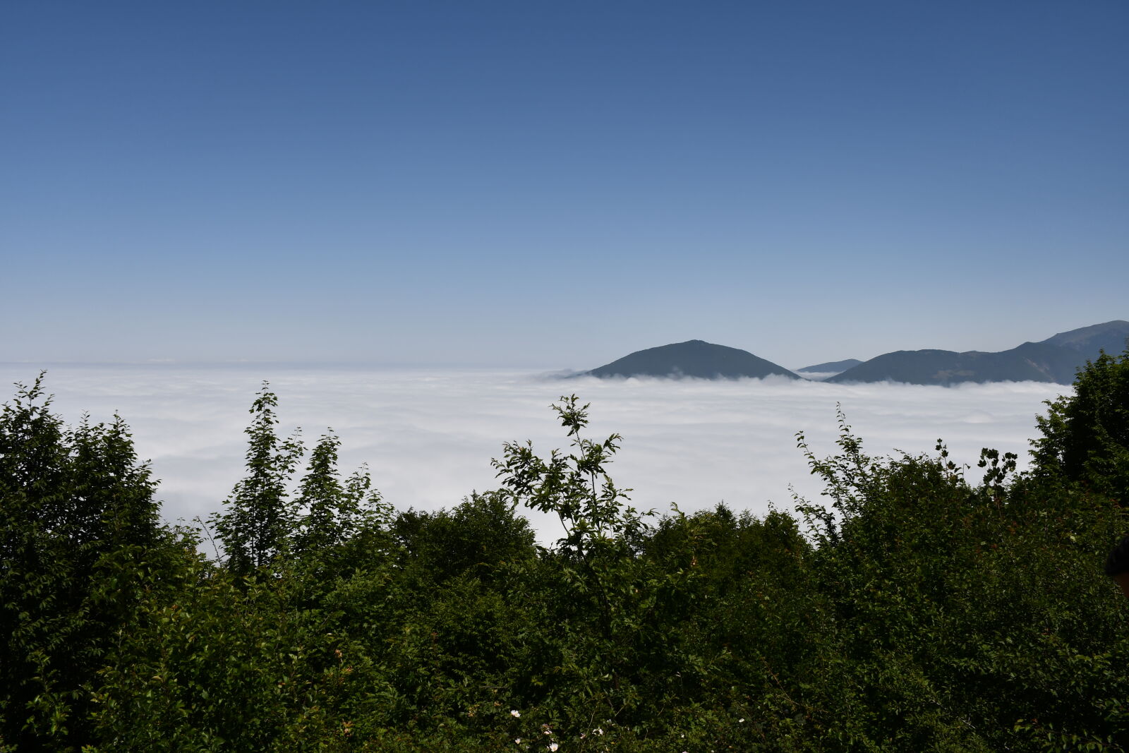 Nikon D7500 sample photo