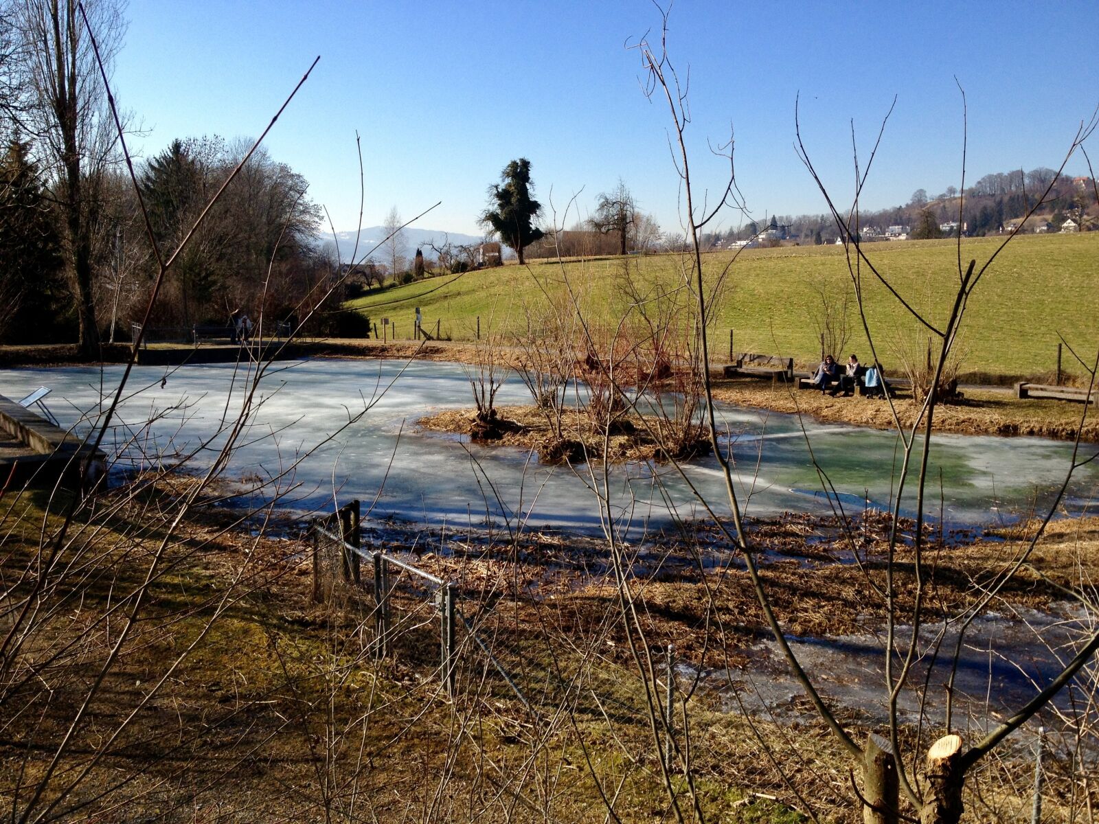 Apple iPhone 4S sample photo. Pond, frozen, winter photography