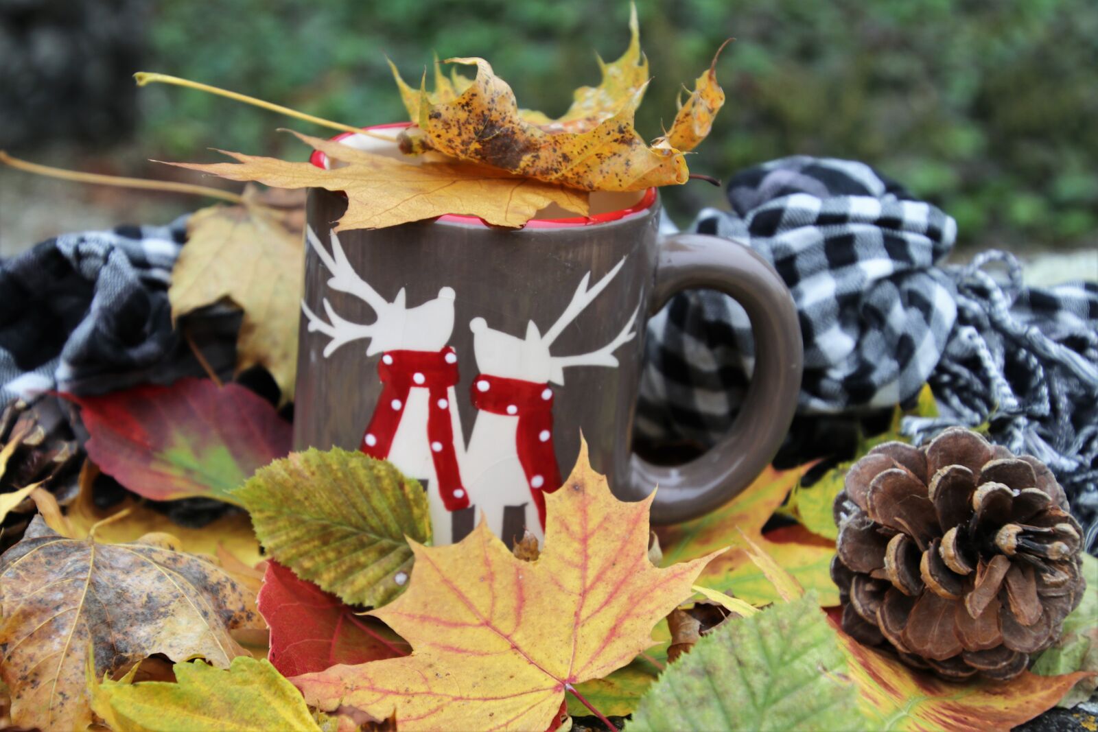 Canon EOS 80D sample photo. Time for tea, colors photography