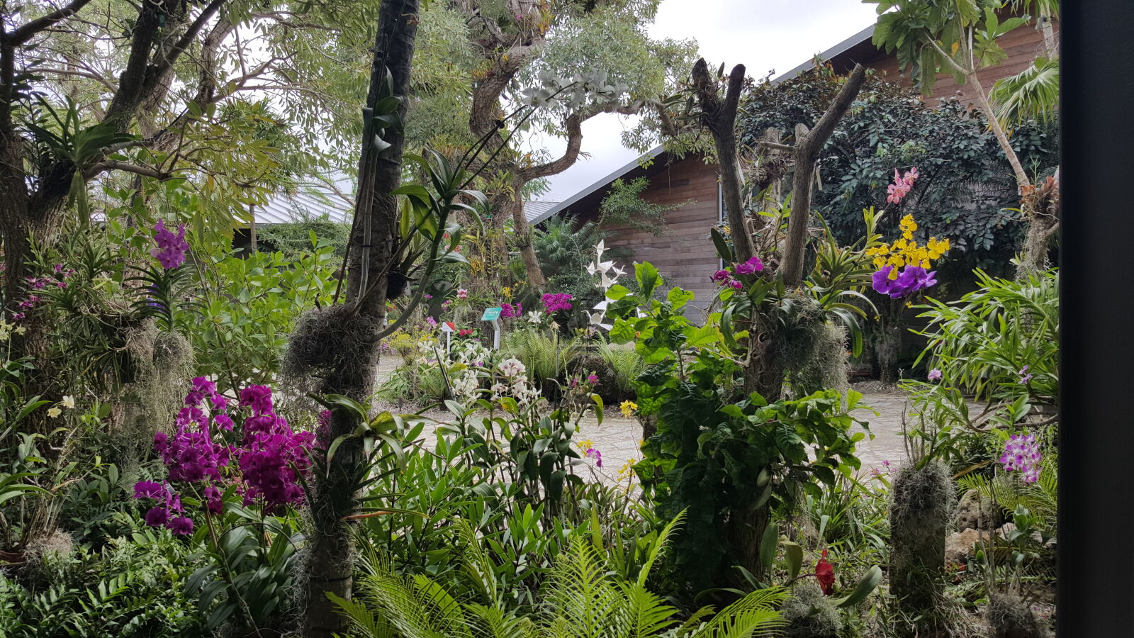 Samsung GALAXY S6 edge sample photo. Botanical, gardens photography