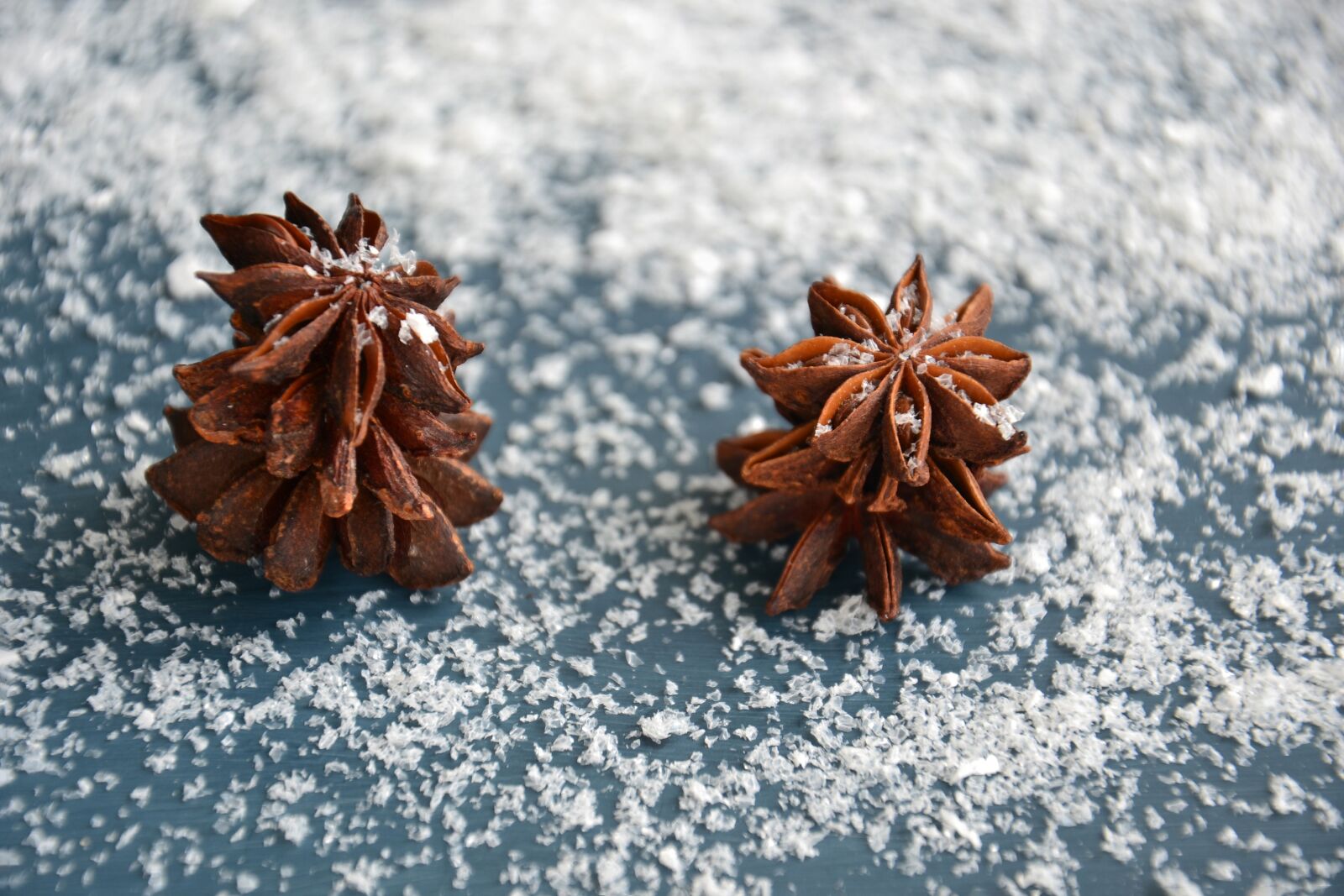 Nikon D3100 sample photo. Anise, spices, christmas photography