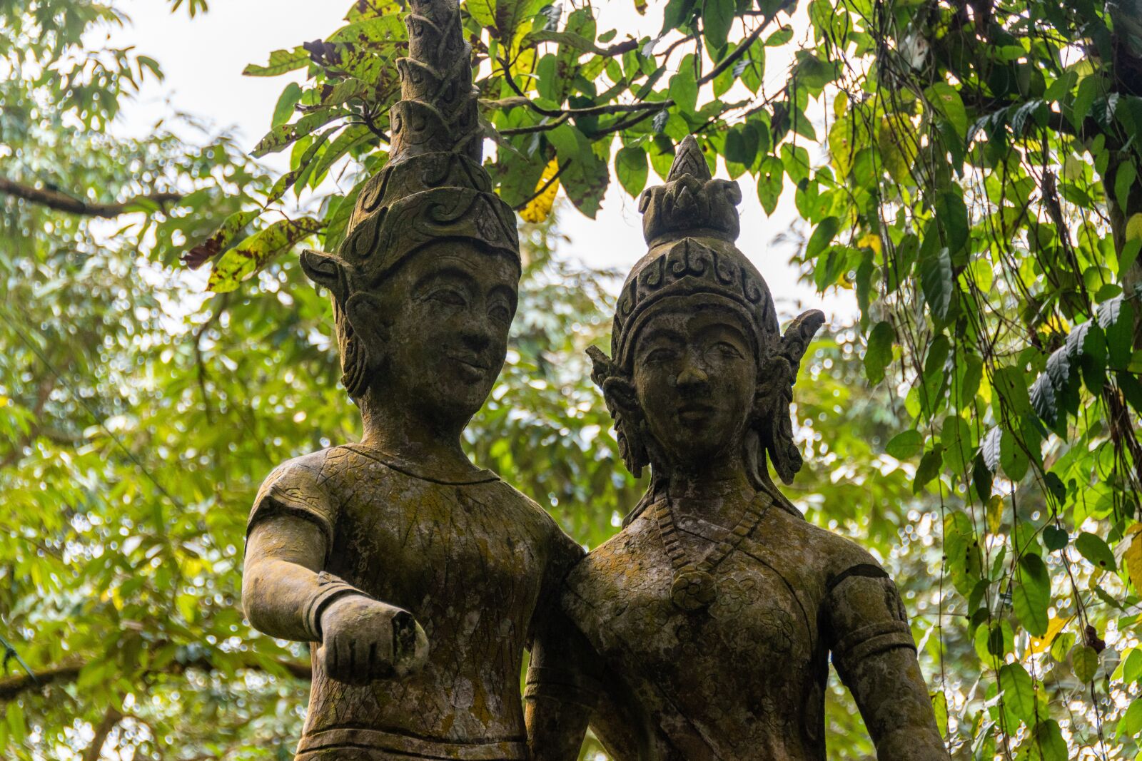 Nikon D5600 sample photo. Statue, forest, green photography