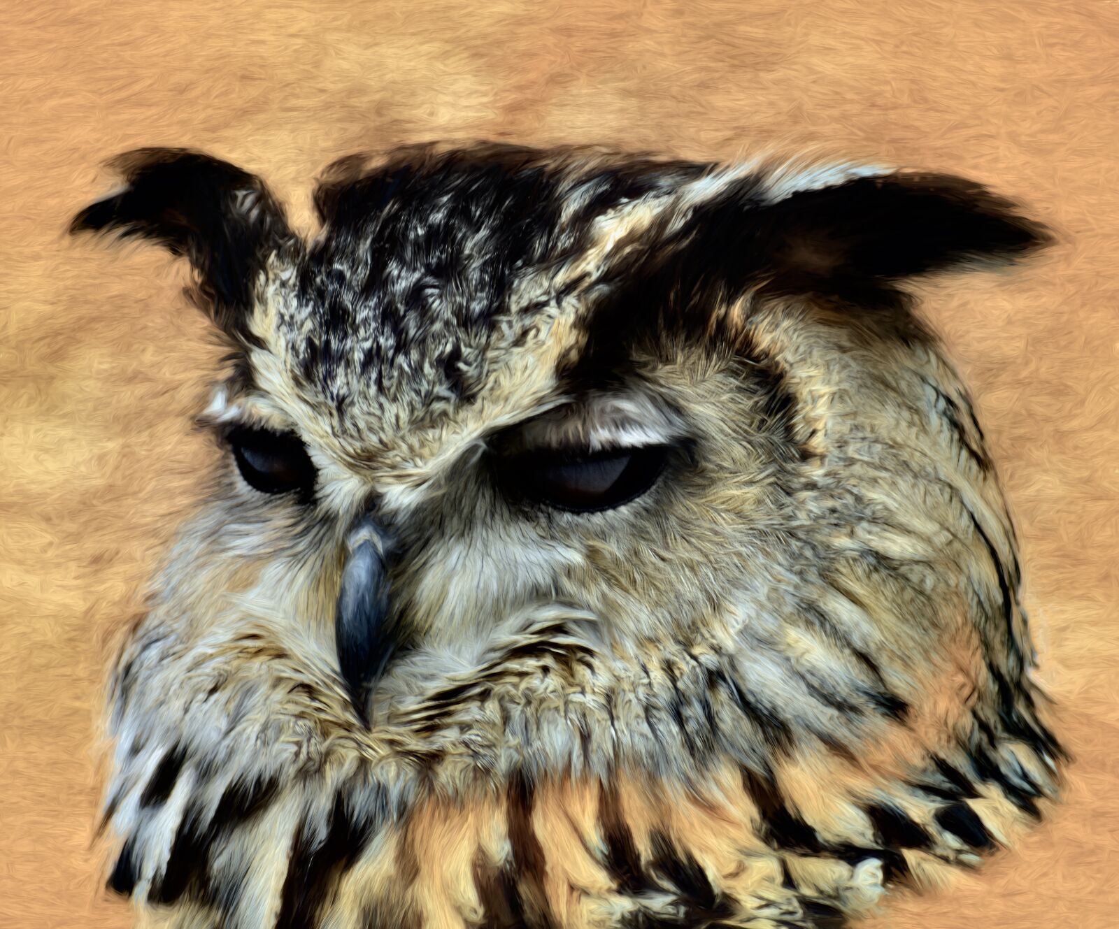 Nikon D800 sample photo. Owl, bird, animal photography