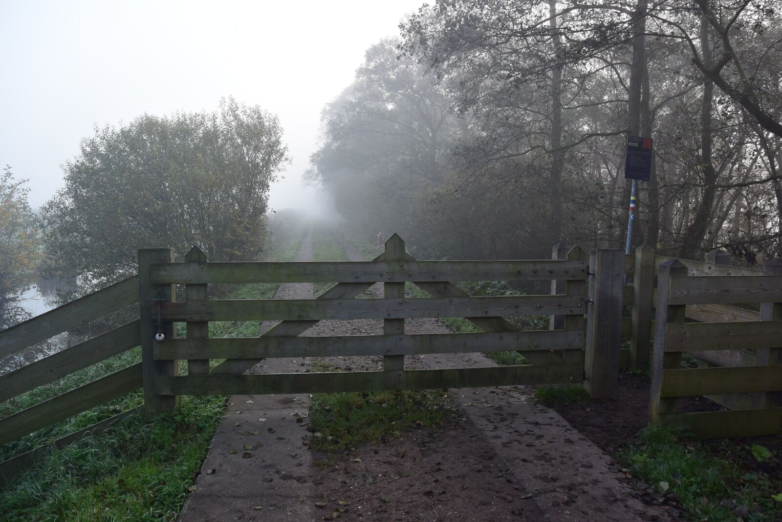 Nikon 1 S2 sample photo. Fence, fog, polder photography