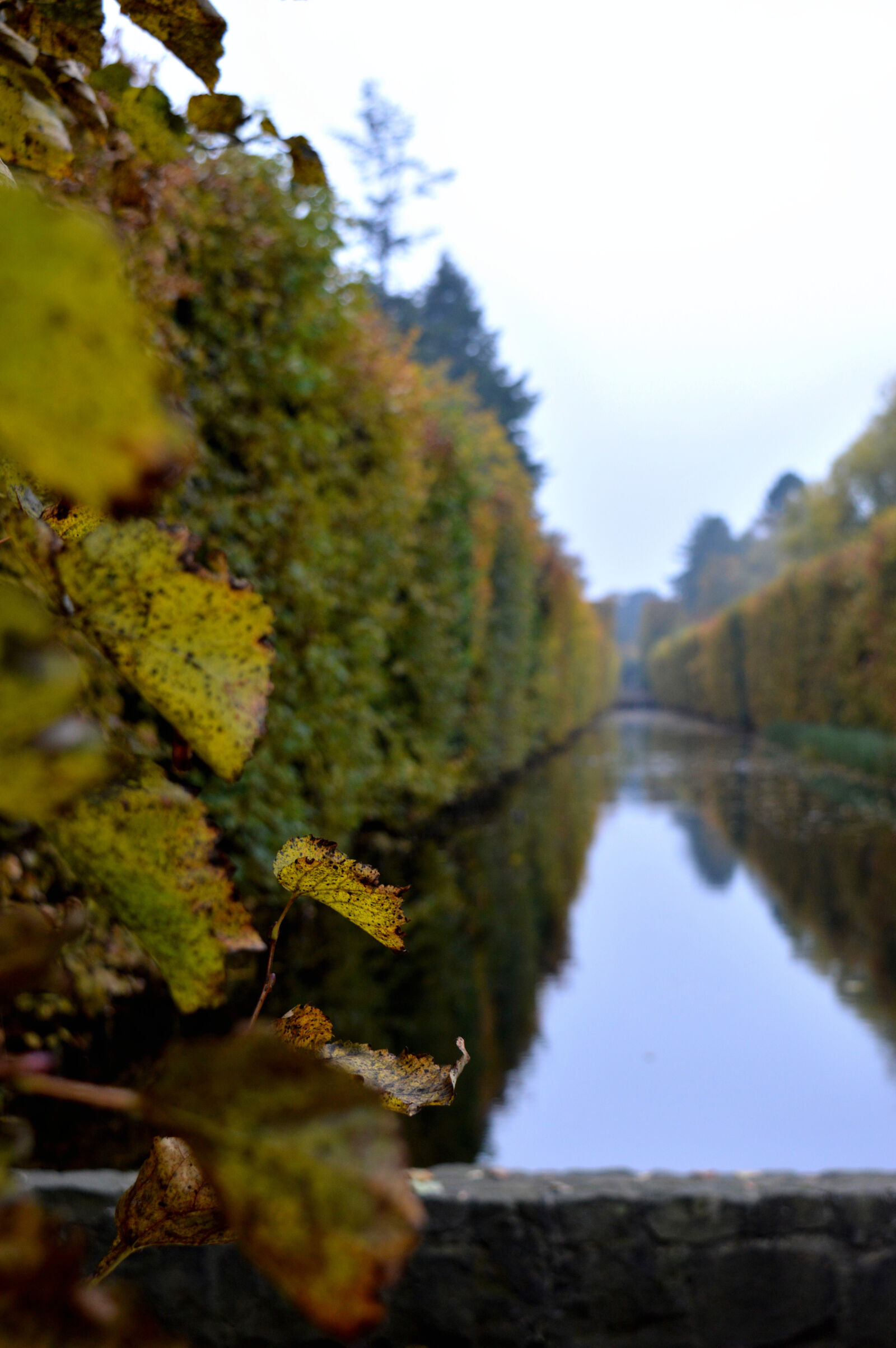 Nikon D3200 sample photo. Autumn, beautiful, bushes, distance photography