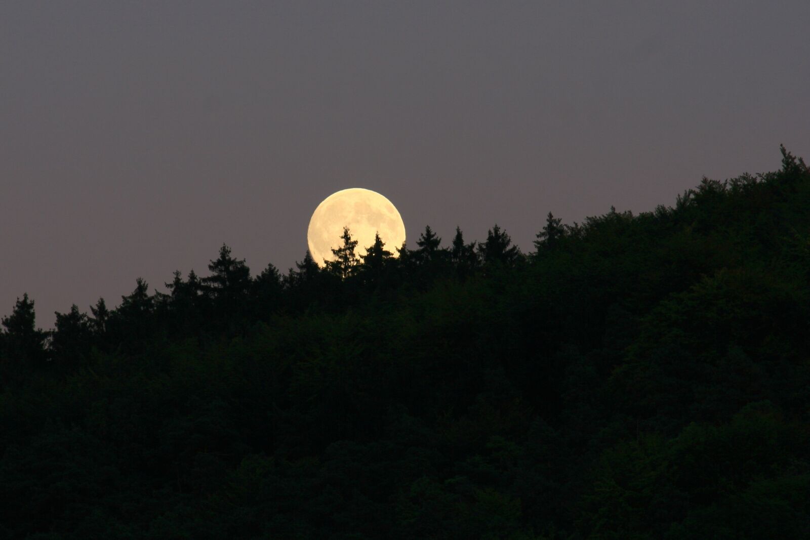 Canon EOS 30D sample photo. Moon, full moon, moonlight photography