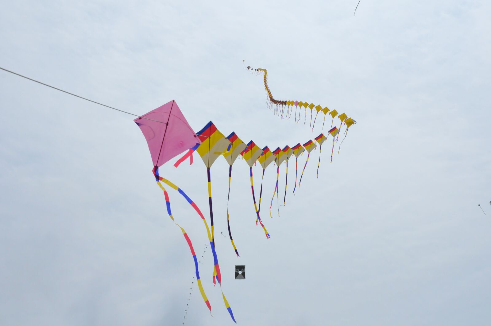 Nikon D300S sample photo. Kite, sky, feast photography
