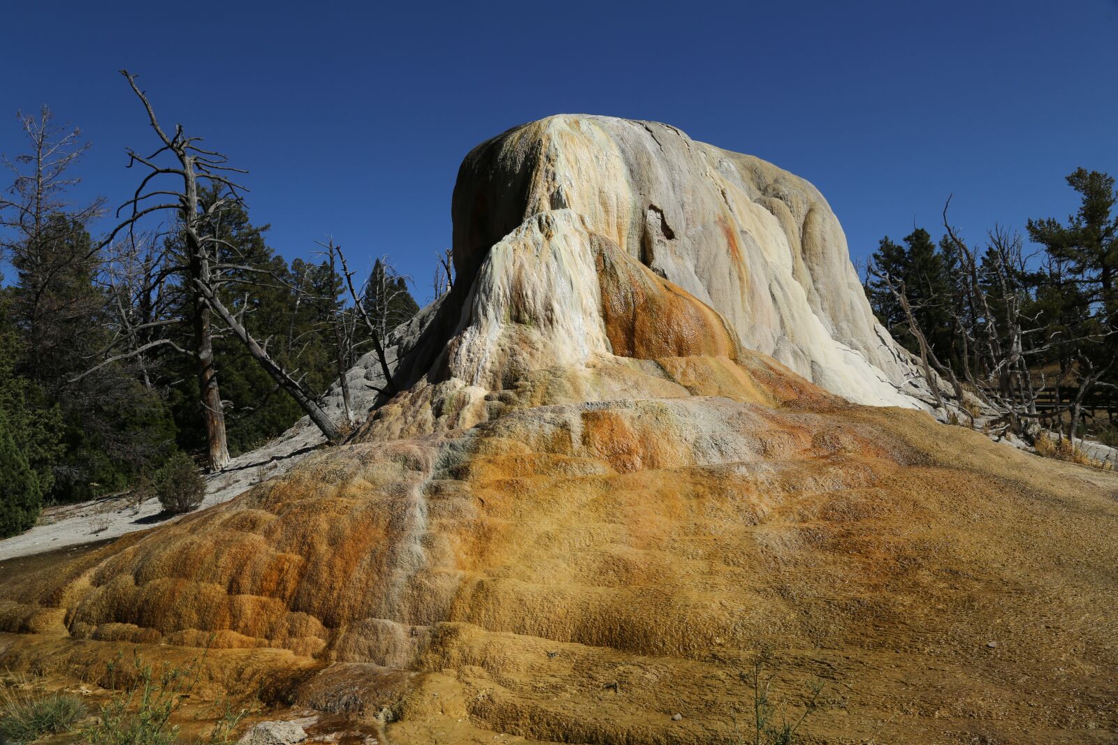 Canon EOS 6D + Canon EF 24-105mm F4L IS USM sample photo. Geyser, yellowstone, usa photography