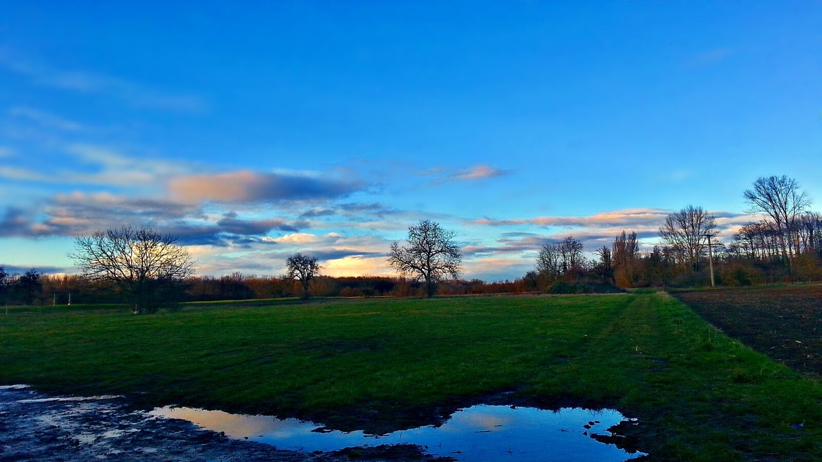 Samsung Galaxy S3 sample photo. Meadow, rain, after the photography
