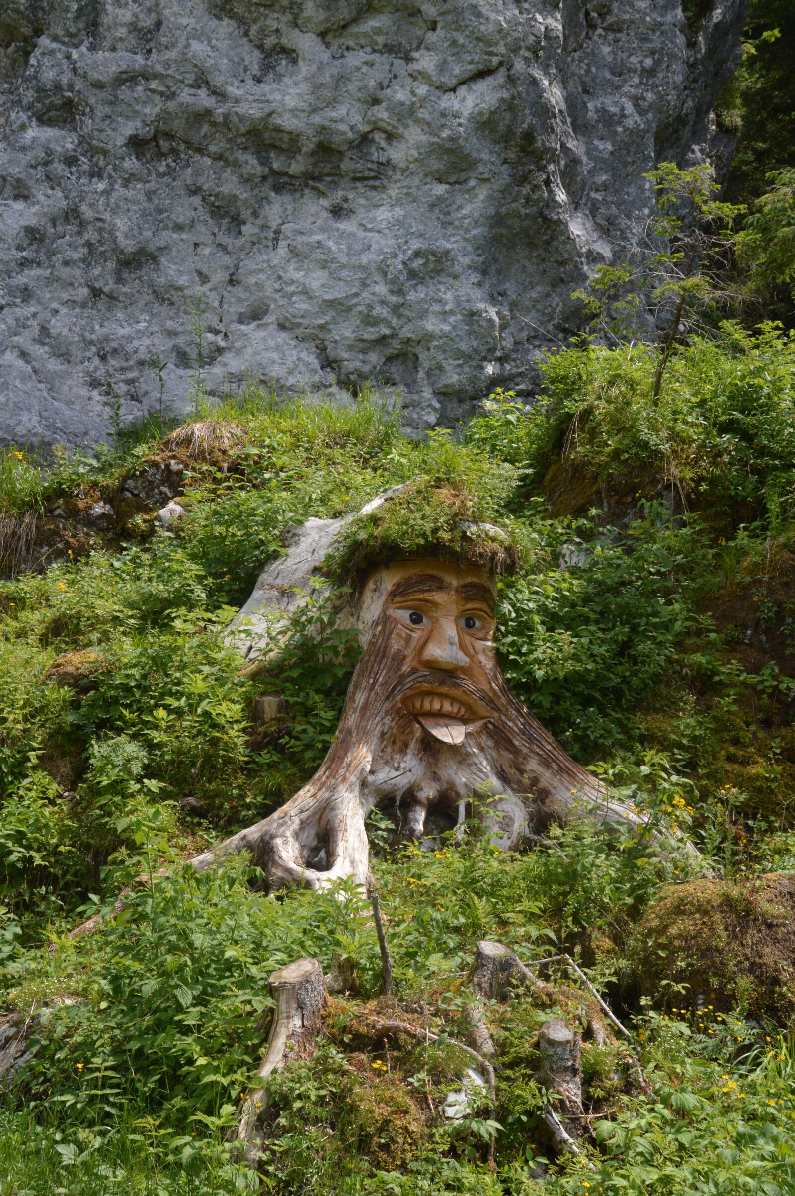 Nikon D3200 sample photo. Mountains, forests, tree stump photography