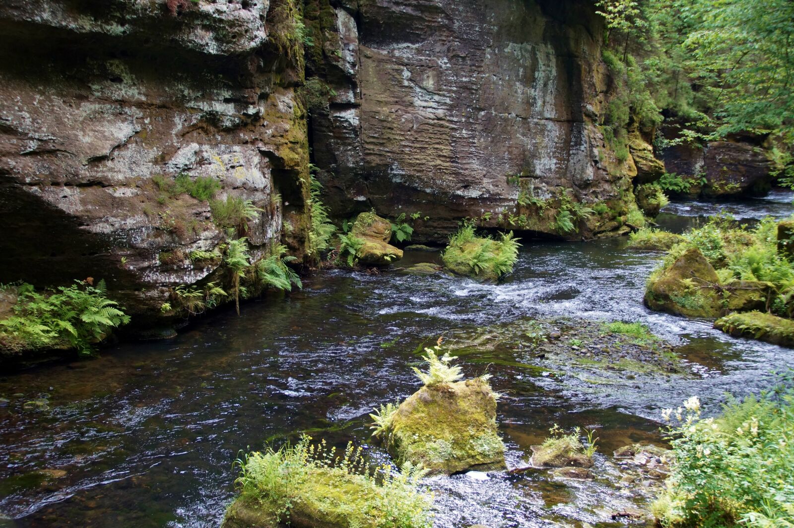 Sony SLT-A58 sample photo. H ensko, czech switzerland photography