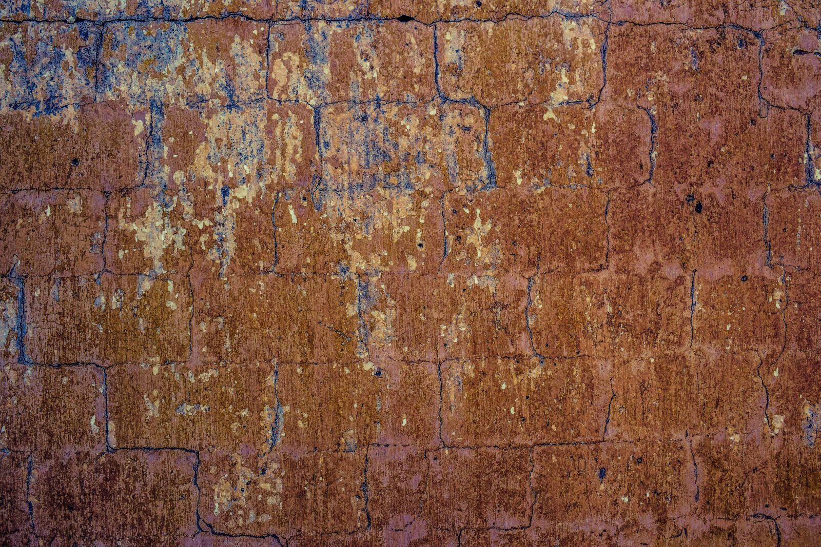 Nikon D3300 sample photo. Wall, old, weathered photography
