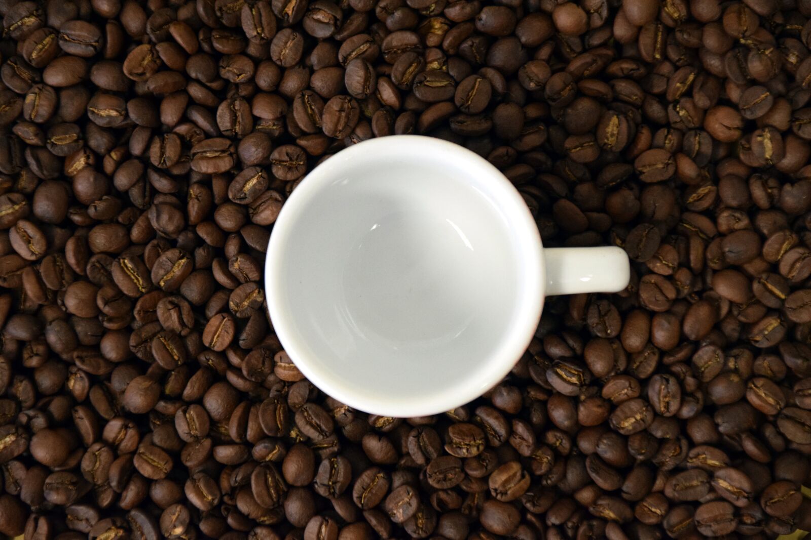 Nikon D3300 sample photo. Coffee, cup, coffee cup photography