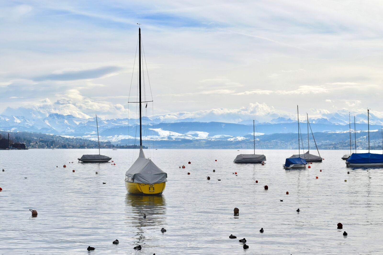 Nikon D5300 sample photo. Zurich, lake, sailing photography