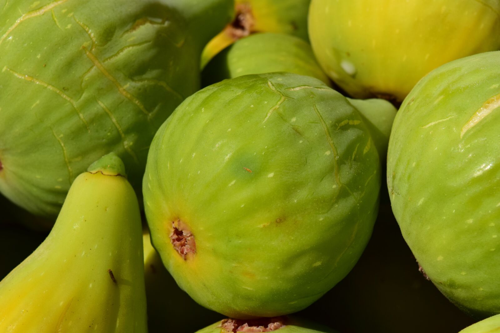 Nikon D3300 sample photo. Figs, ripe figs, ripe photography