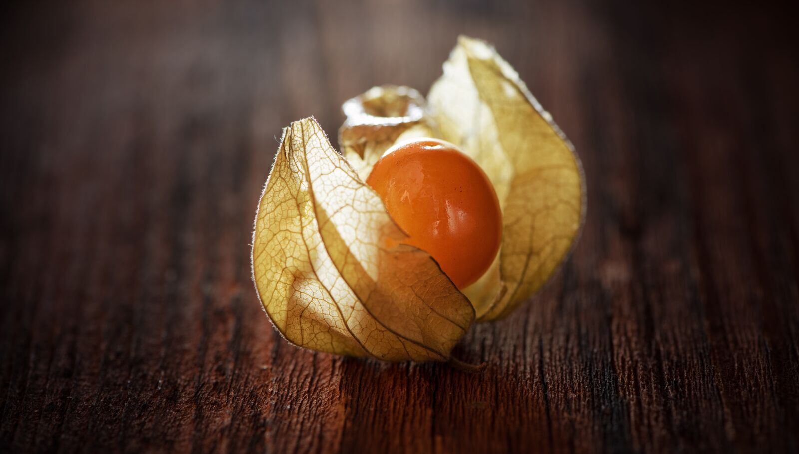 Nikon D750 sample photo. Physalis, physalis peruviana, cape photography
