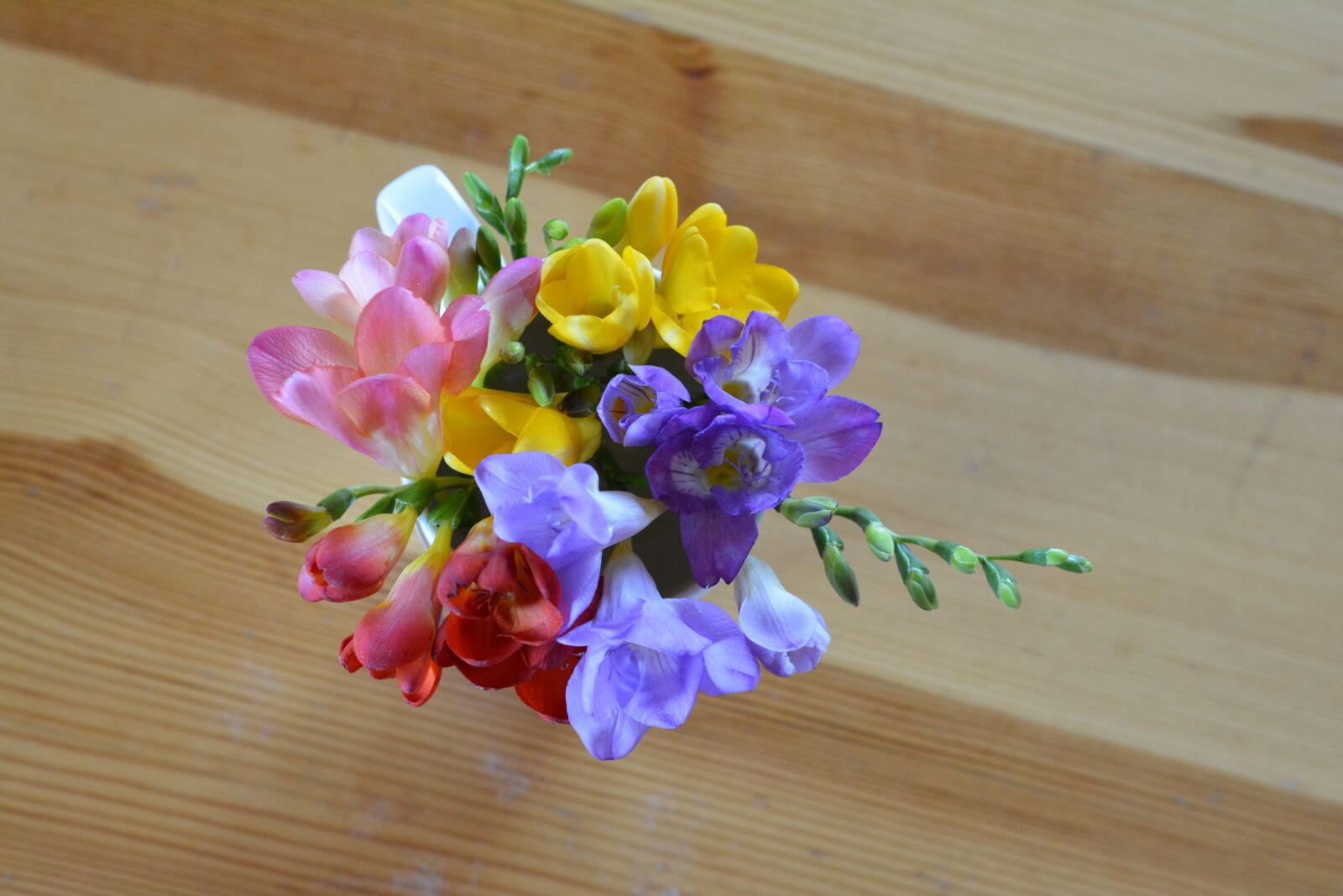 Nikon D5200 sample photo. Freesia, flowers, posy photography
