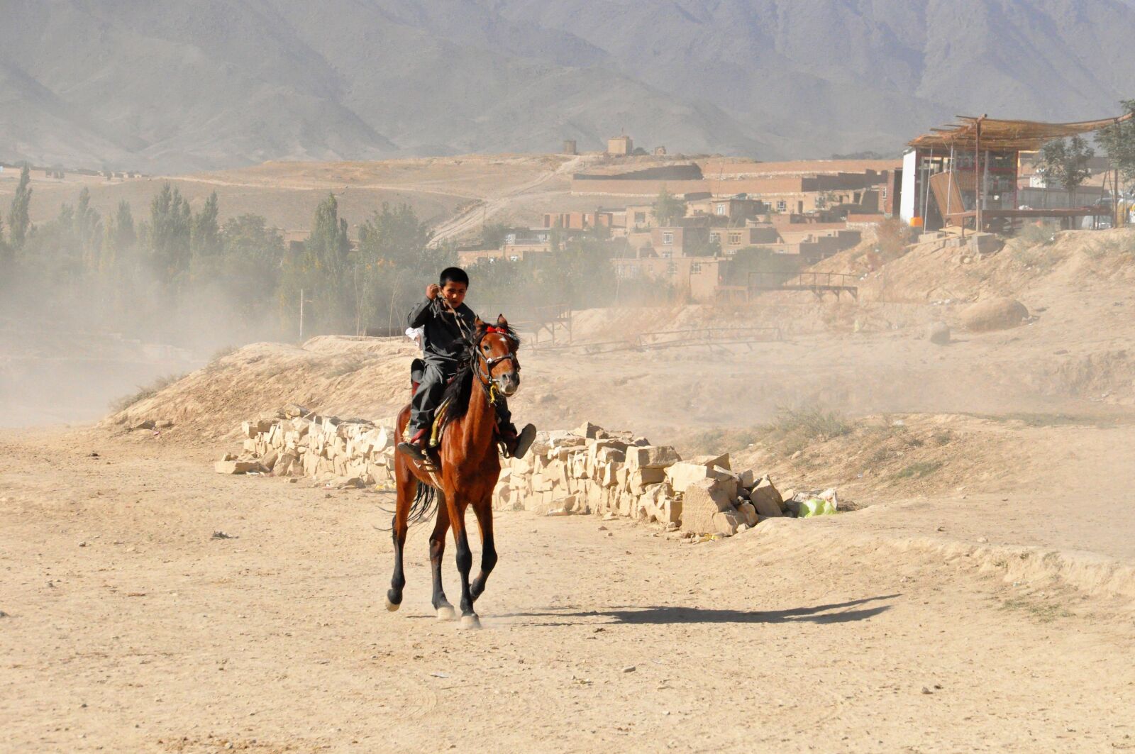 Nikon D90 sample photo. Ride, desert, reiter photography
