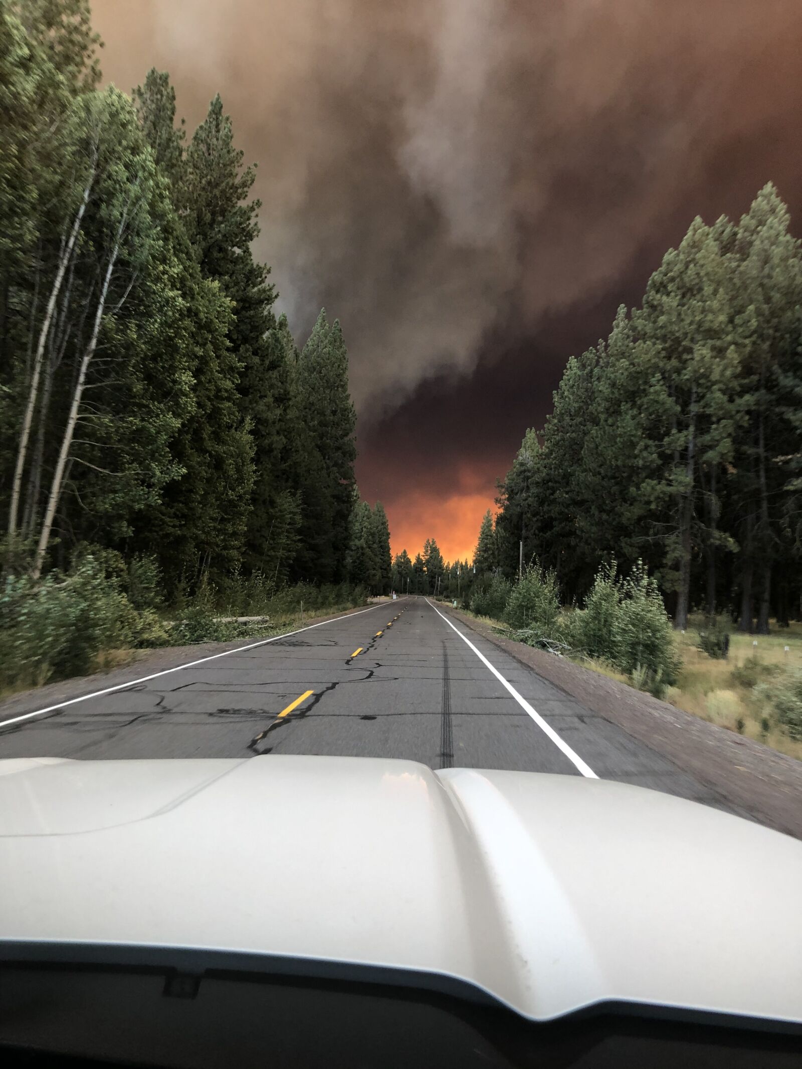 iPhone 8 Plus back dual camera 3.99mm f/1.8 sample photo. Wildfire, smoke, burning photography