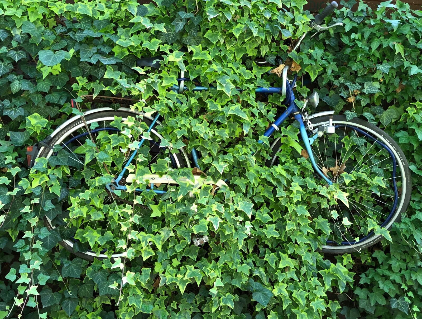 iPhone X back dual camera 4mm f/1.8 sample photo. Bike, decoration, old photography