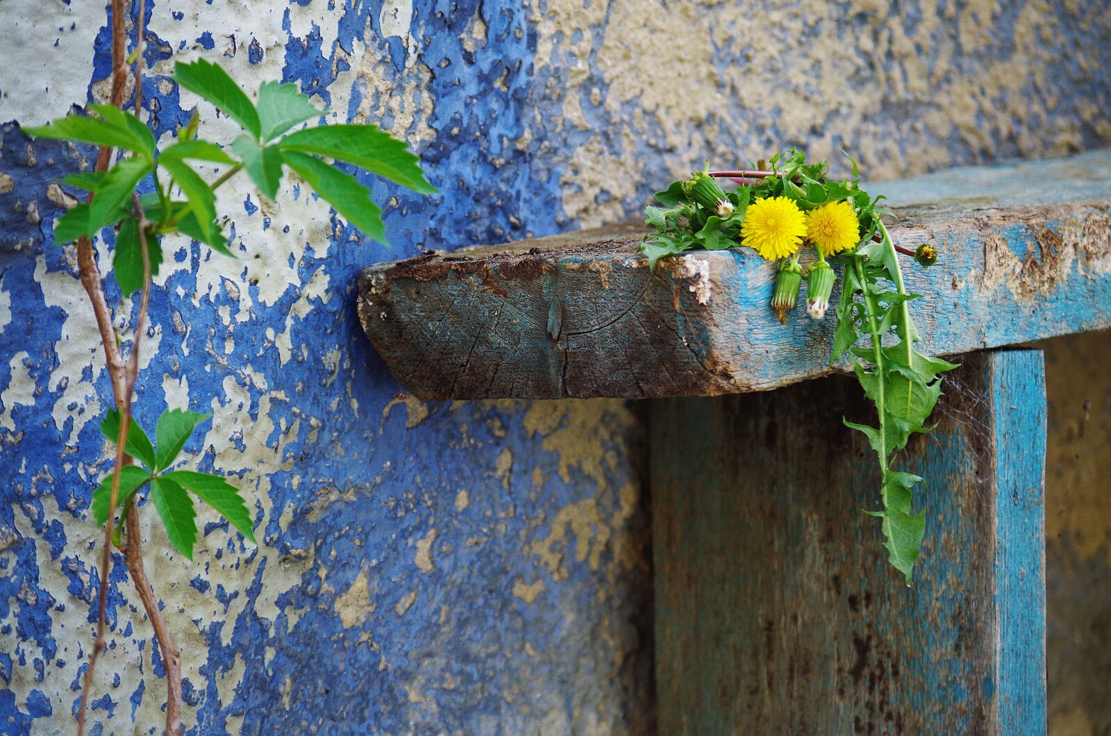 Pentax K-500 sample photo. Bench, old, background photography