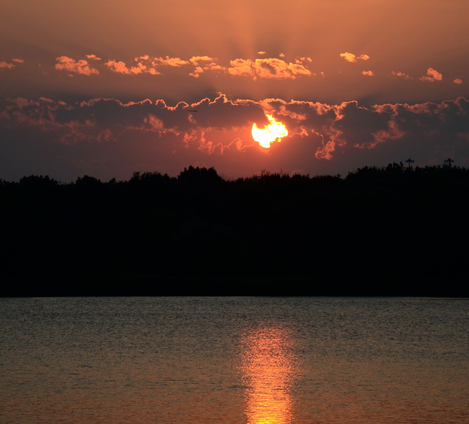 Nikon D7000 sample photo. Sunrise, birds, fly photography