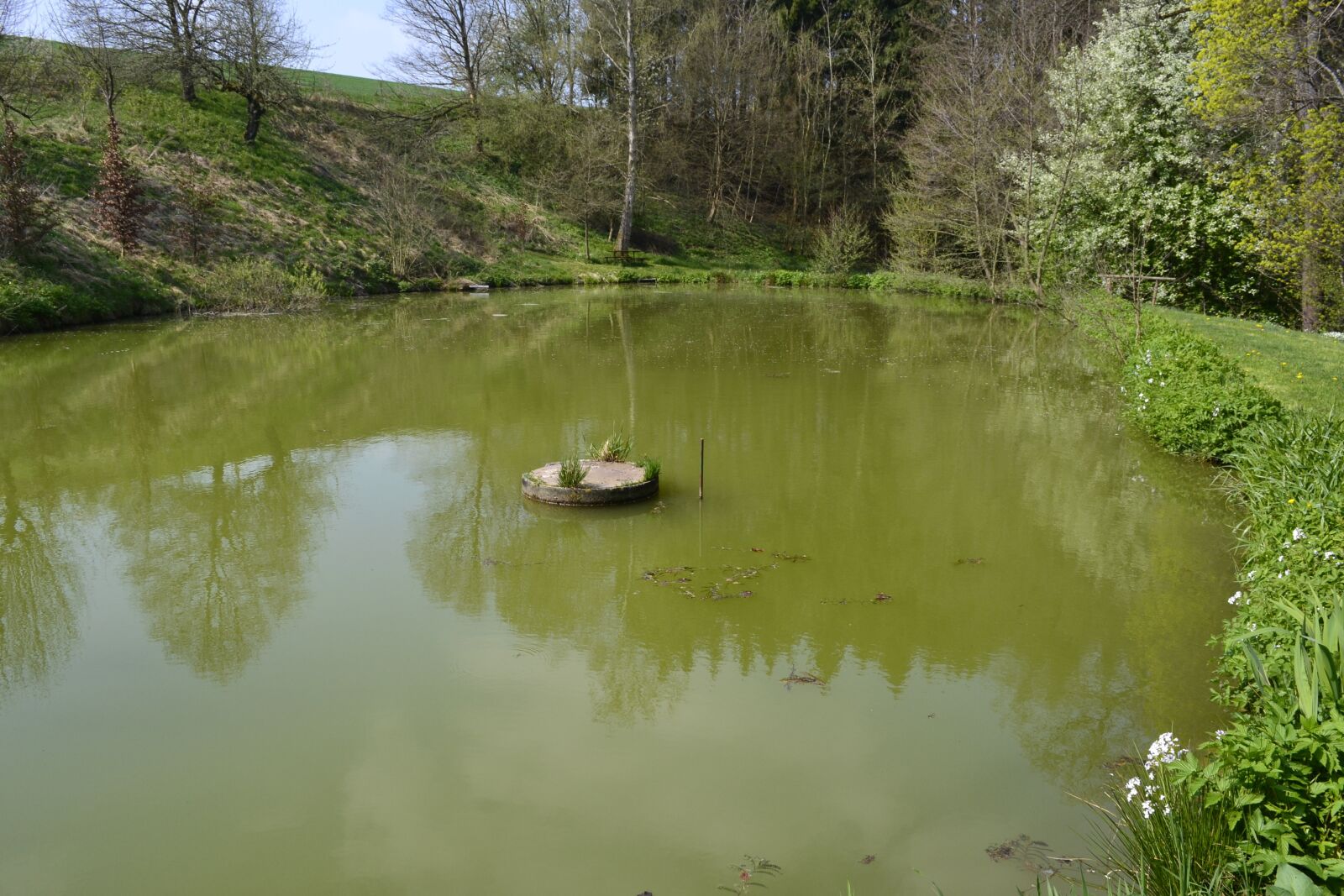 Nikon D3100 sample photo. Waters, river, reflection photography