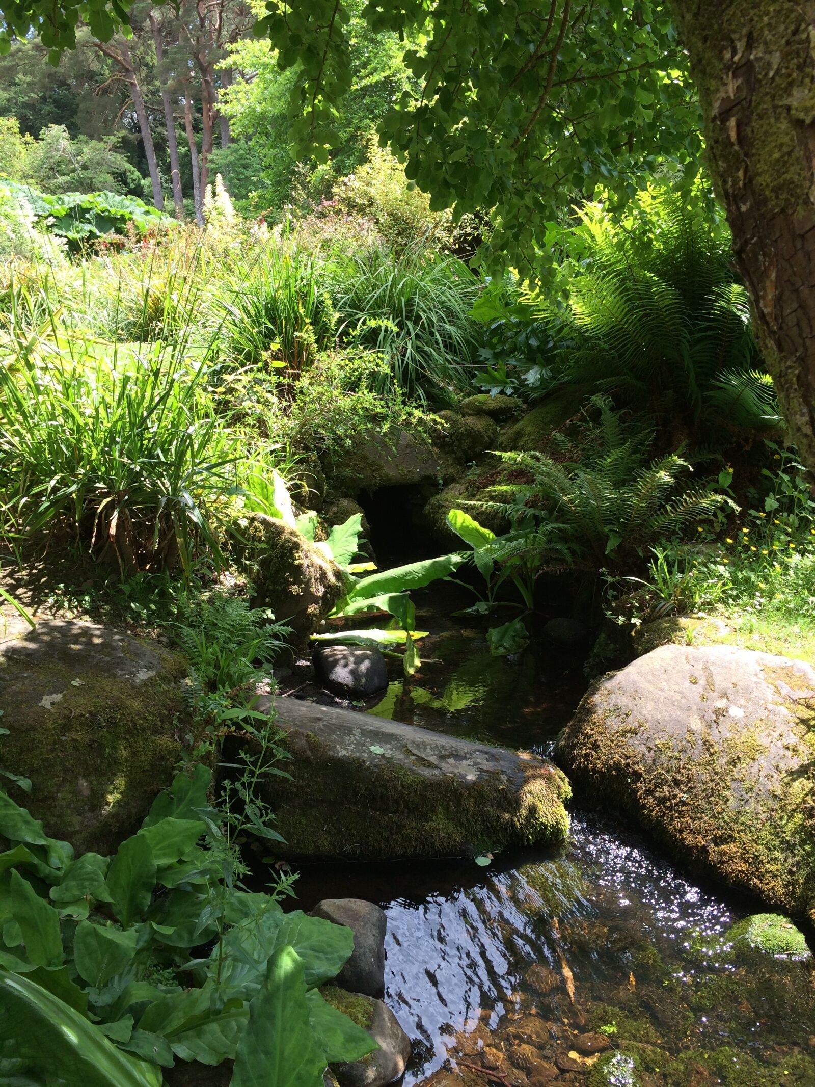 iPhone 5s back camera 4.12mm f/2.2 sample photo. Landscape, nature, rocks photography