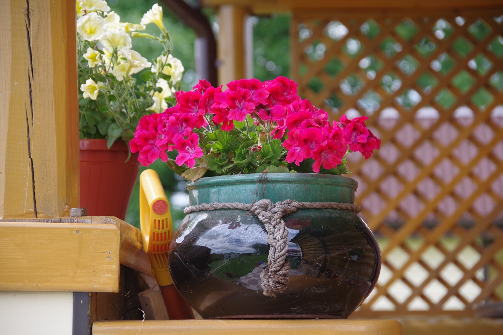 Pentax K-1 sample photo. Dacha, flowers, flower bed photography