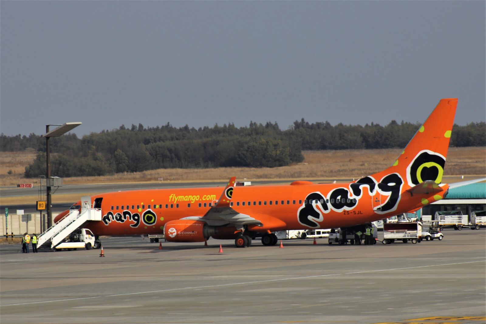 Canon EOS 60D sample photo. Mango, airlines, bright photography