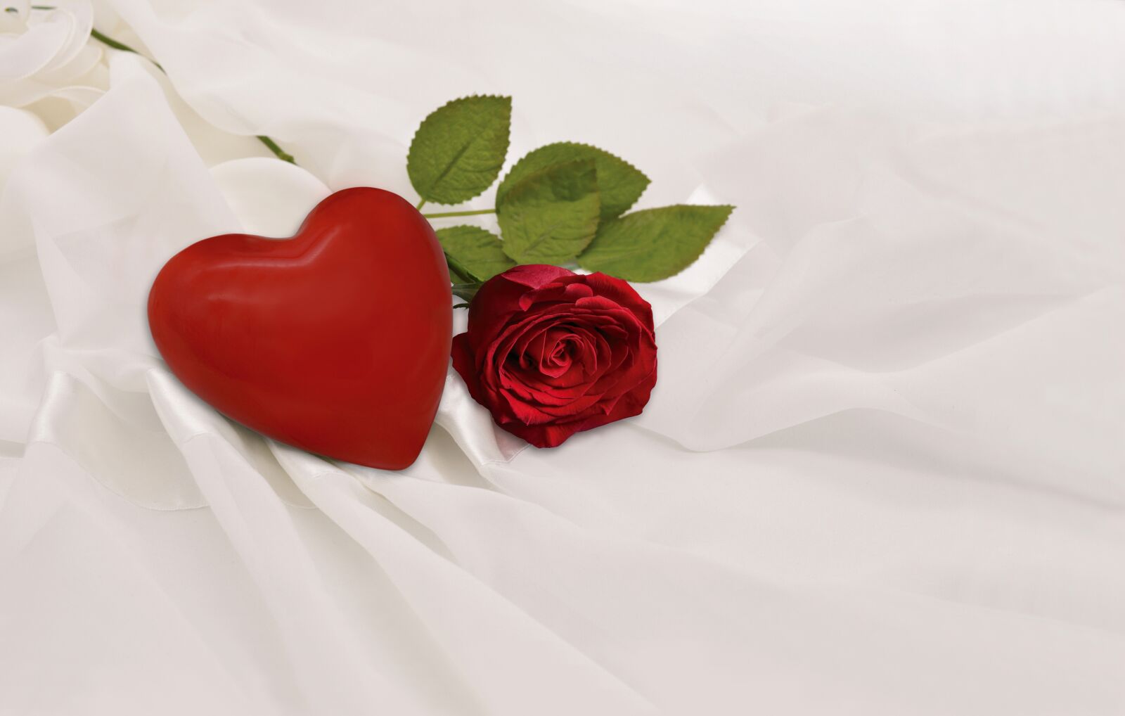 Nikon D3200 sample photo. Heart, red rose, tulle photography