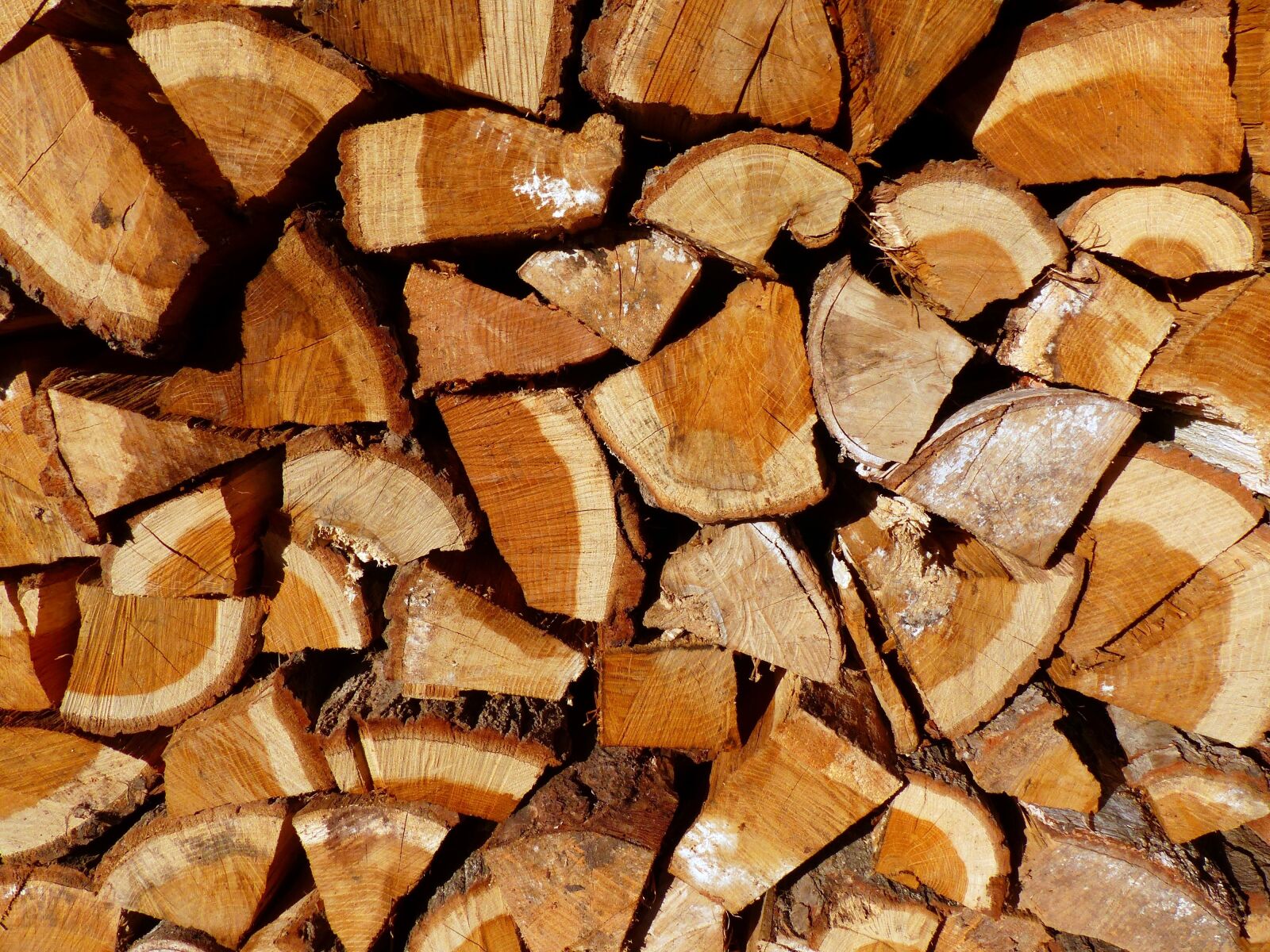 Panasonic Lumix DMC-FZ200 sample photo. Background, wood, firewood photography