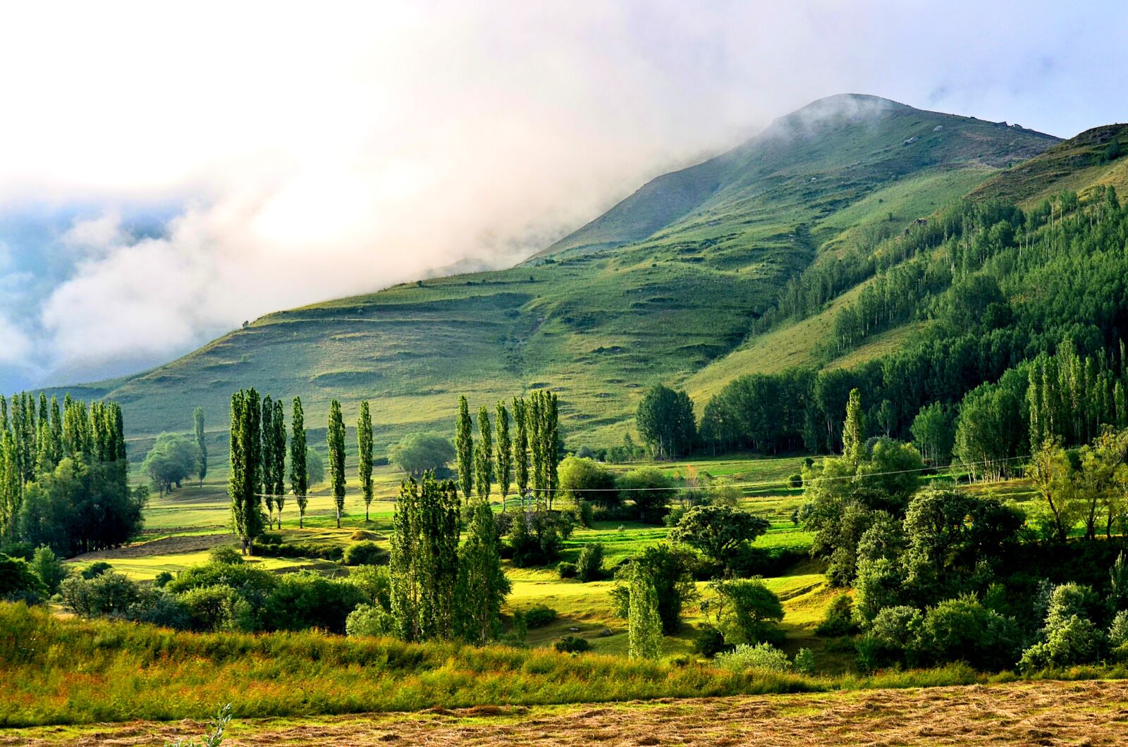 Nikon D5100 sample photo. Nature, landscape, kaçkars photography