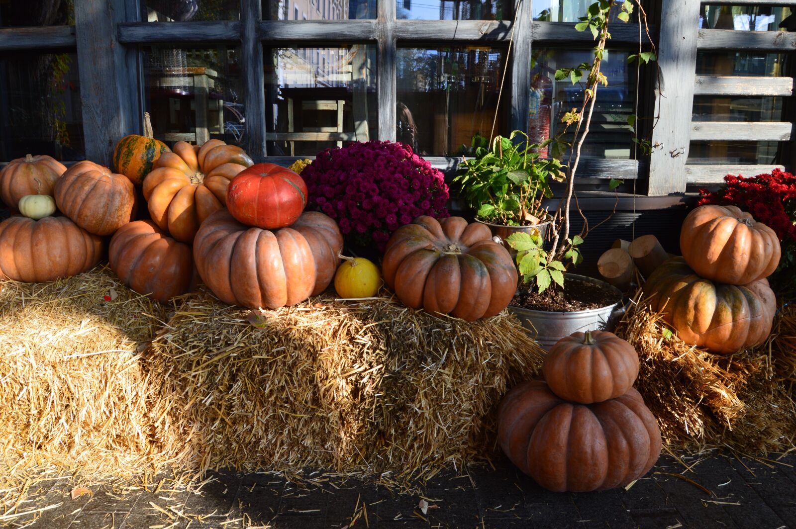 Nikon D3200 sample photo. Pumpkin, vegetables, halloween photography