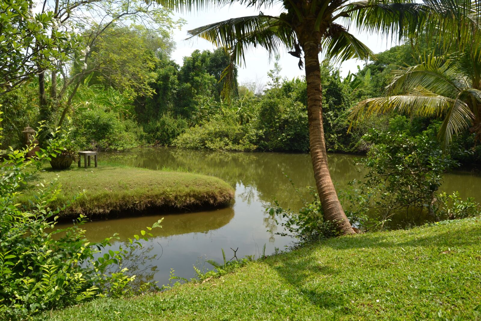 Nikon D3100 sample photo. Garden, exotic, flowers photography