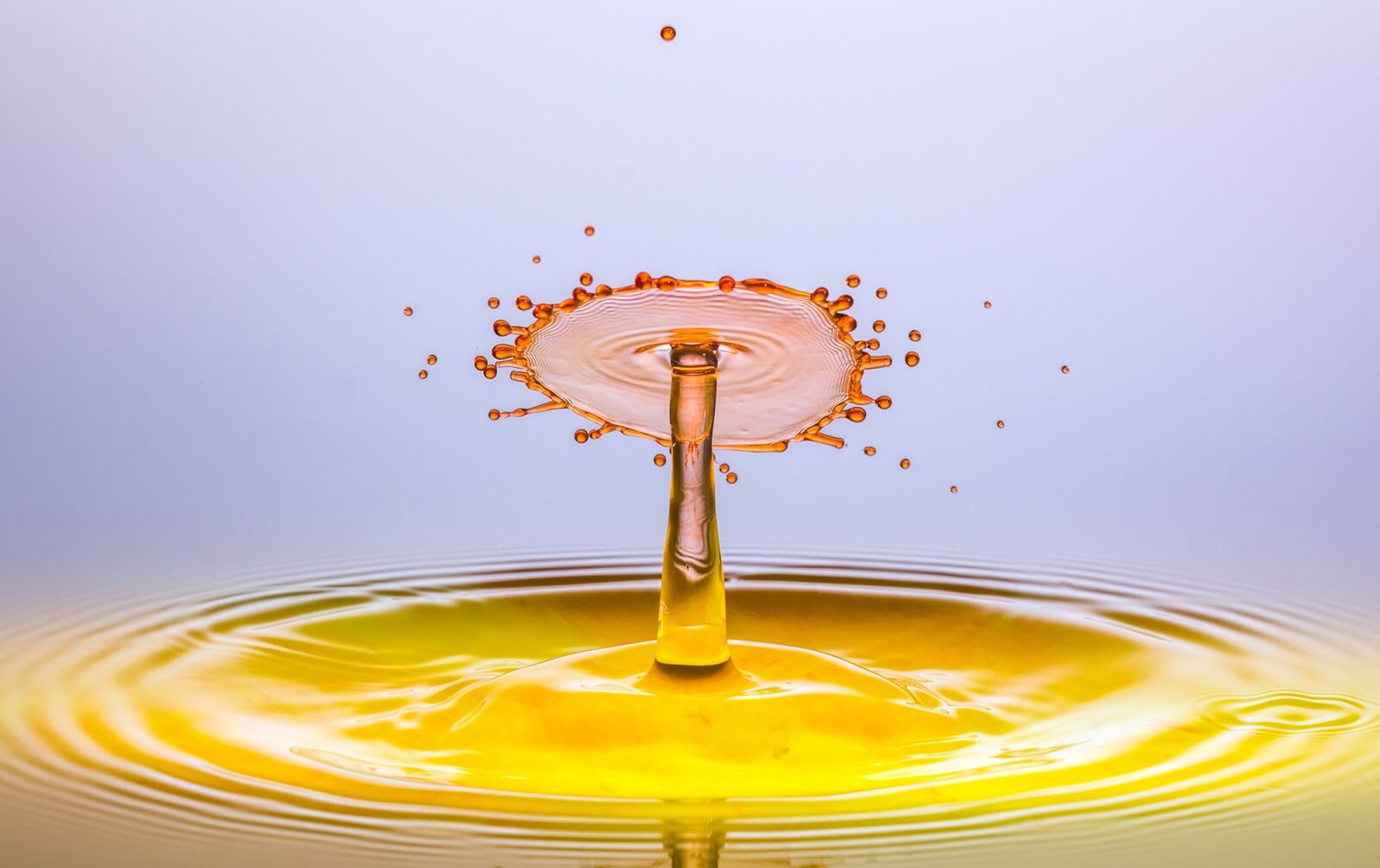 Sony SLT-A77 sample photo. Drip, water, drop of photography