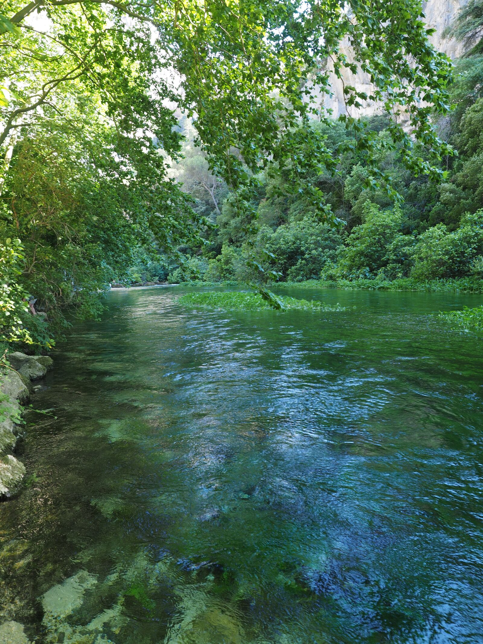 Olympus OM-D E-M1 + Olympus M.Zuiko Digital ED 12-40mm F2.8 Pro sample photo. Sorgue, water, clear photography