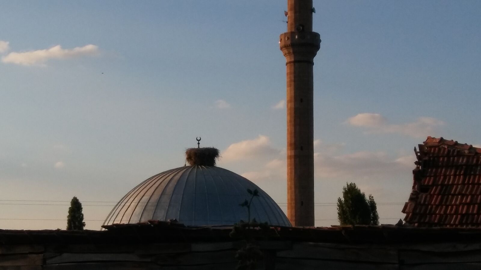 LG K520 sample photo. Stork, mosque, dome photography