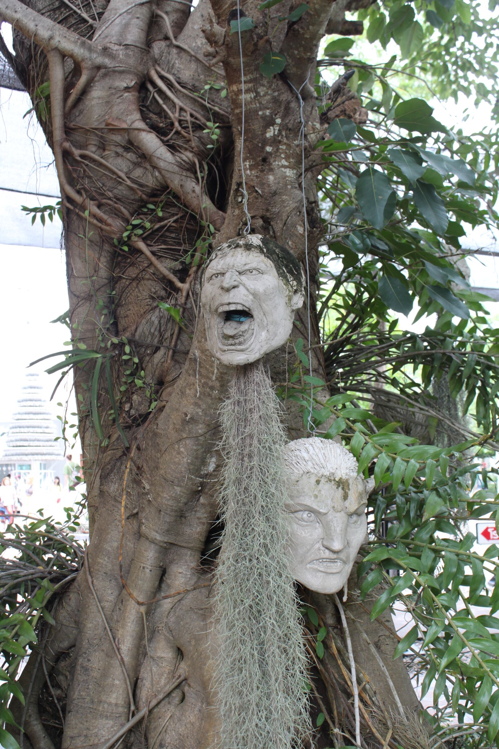 Canon EOS 500D (EOS Rebel T1i / EOS Kiss X3) sample photo. Mask, tree, abstract photography
