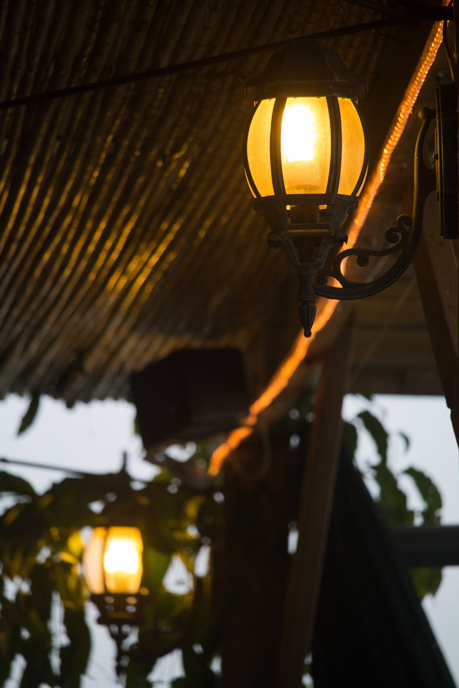 Canon EOS 1100D (EOS Rebel T3 / EOS Kiss X50) sample photo. Peaceful, light, candlestick photography