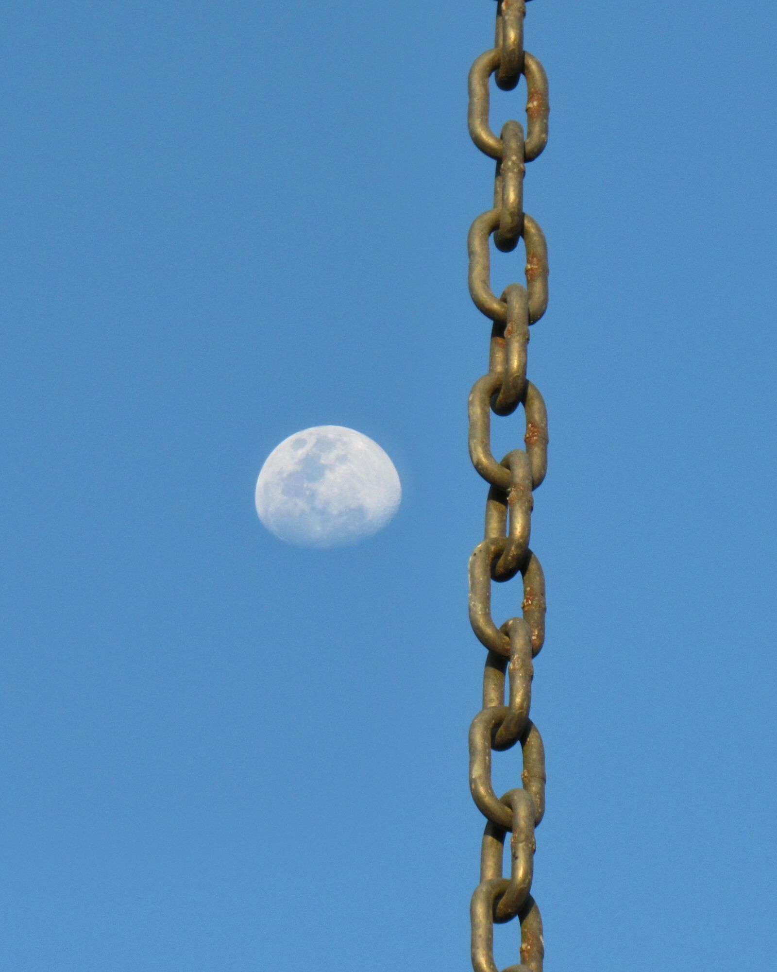 Canon PowerShot SX530 HS sample photo. Chain, steel, security photography