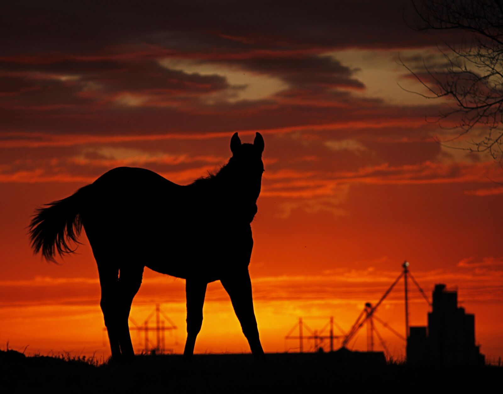 Canon EOS 500D (EOS Rebel T1i / EOS Kiss X3) sample photo. Farm, oklahoma, rural photography