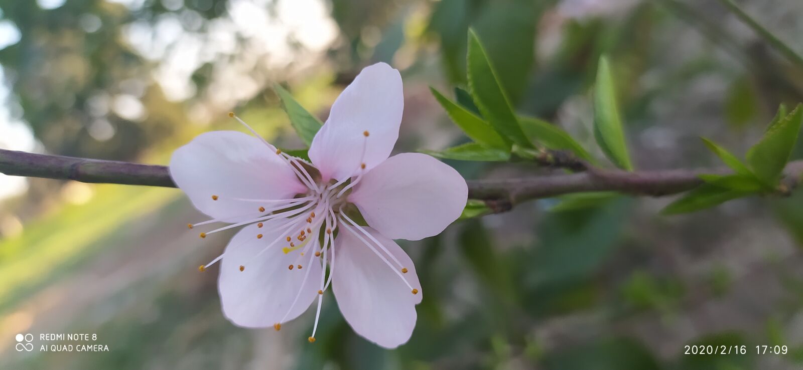 Xiaomi Redmi Note 8 sample photo. Ramadan kareem, ramadan mubarak photography
