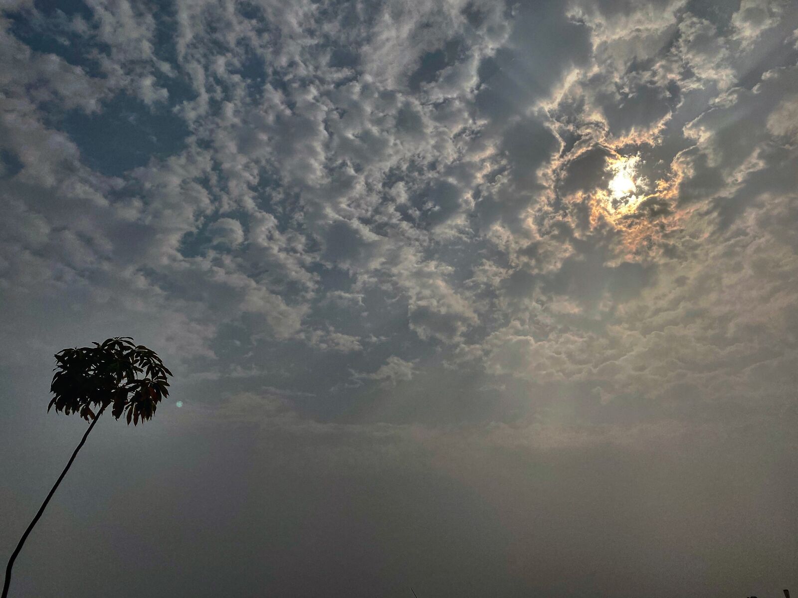 Apple iPhone 11 Pro sample photo. Oblivion, sky, scenic photography