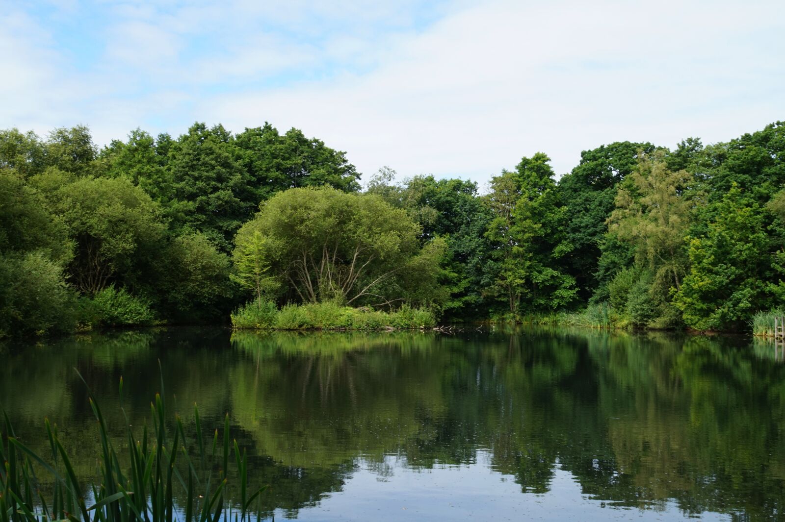 Sony Alpha a5000 (ILCE 5000) sample photo. Lake, forest, water photography